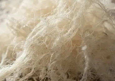 Konjac Fiber ingredient
