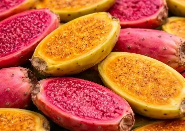 Prickly Pear ingredient