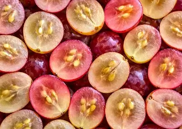 Resveratrol ingredient
